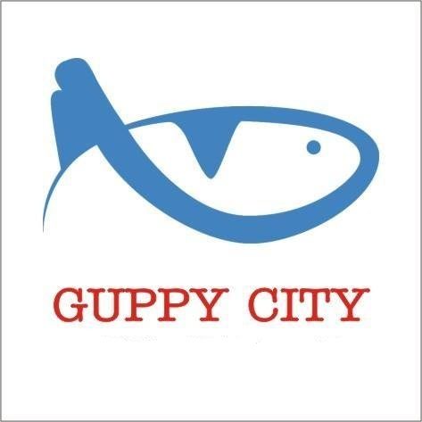 Guppy City – Cá Bảy Màu Hà Nội