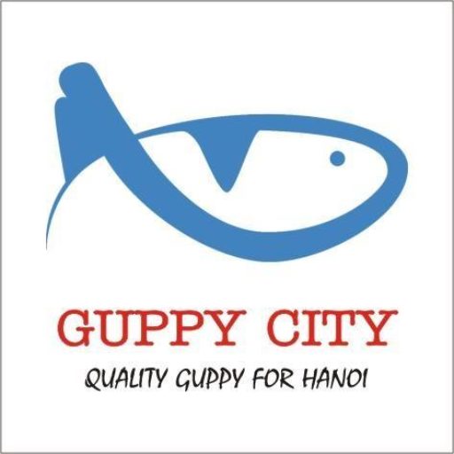 Guppy City – Cá Bảy Màu Hà Nội