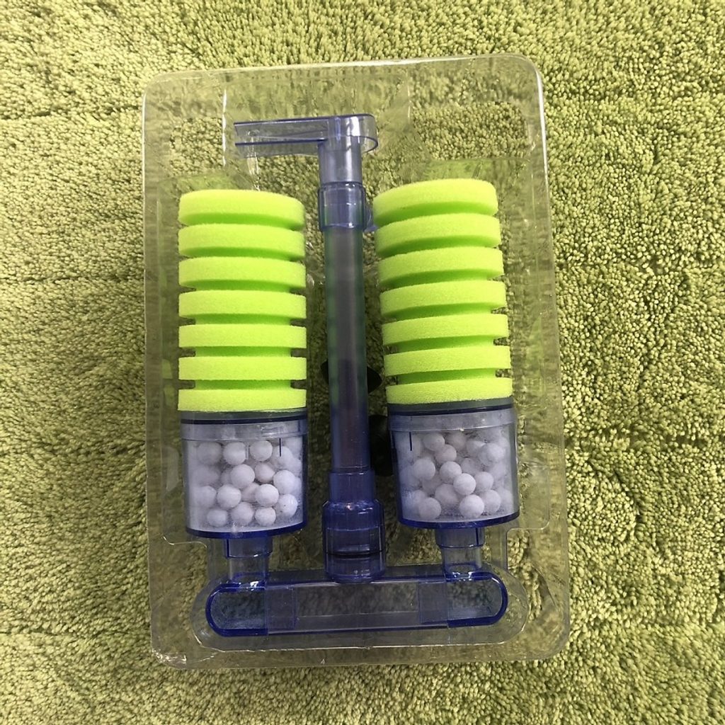 Guppy City – Cá Bảy Màu Hà Nội