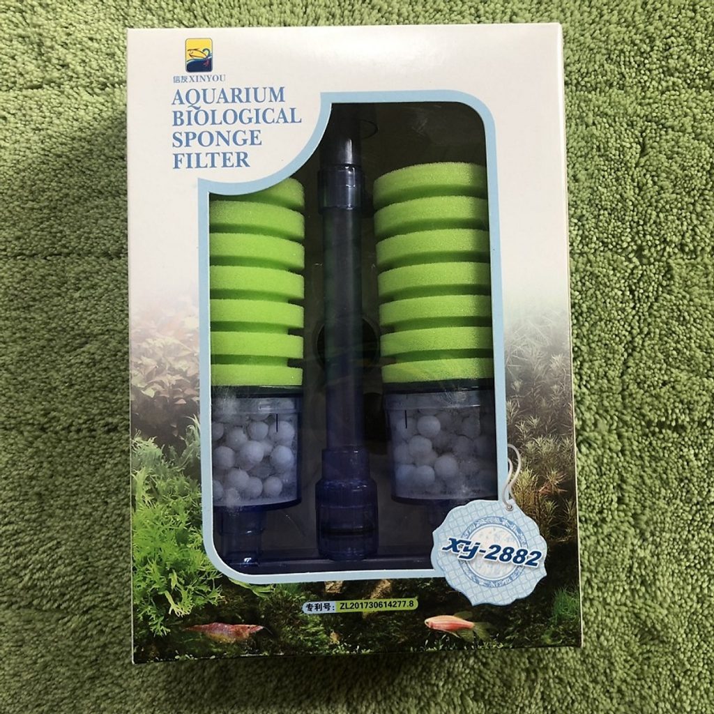 Guppy City – Cá Bảy Màu Hà Nội