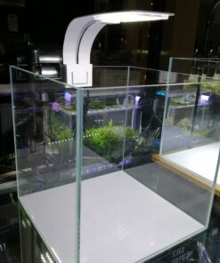 Alternative view of Bể kính cubic 20 siêu trong