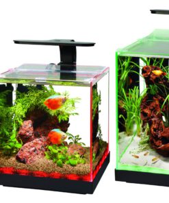 Bể kính cubic 30 siêu trong