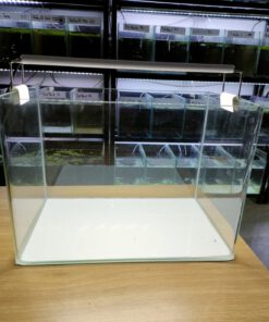 Bể kính đúc 22x15x17