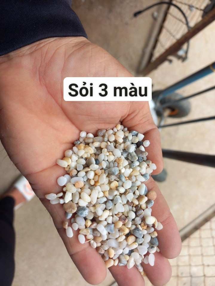 Sỏi ba màu trang trí bể cá - Ảnh 2