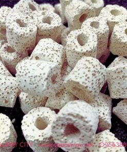50g sứ lọc trắng miễn phí