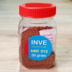 Cám Inve Thái G12