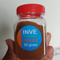 Cám Inve Thái 5/8 ORG